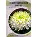 30 Chrysanthemum species: Make the right choice