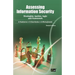 Assessing Information Security
