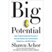 Big Potential: How Transforming the Pursuit of Success Raises Our Achievement, Happiness, and Well-Being