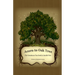 Acorn to Oak Tree: The Greatness You Seek is Inside You