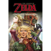 The Legend of Zelda: Twilight Princess, Vol. 10