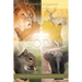 God's Little Creatures: A Children's Daily Devotional with Animal Facts to Help Teach God's Word
