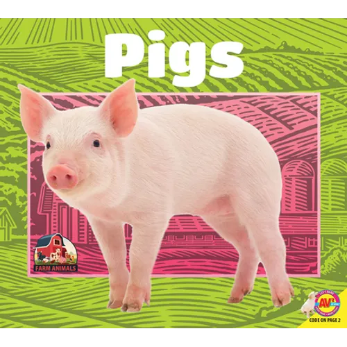 Pigs