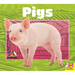 Pigs