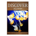 Jellyfish - Discover: Early reader's wildlife photography book