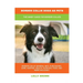 Border Collie Dogs as Pets: The Handy Guide for Border Collies