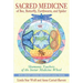 Sacred Medicine of Bee, Butterfly, Earthworm, and Spider: Shamanic Teachers of the Instar Medicine Wheel [With CD (Audio)]