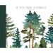 If You Find A Forest