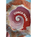 Conch Pearl