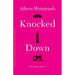 Knocked Down: A High-Risk Memoir