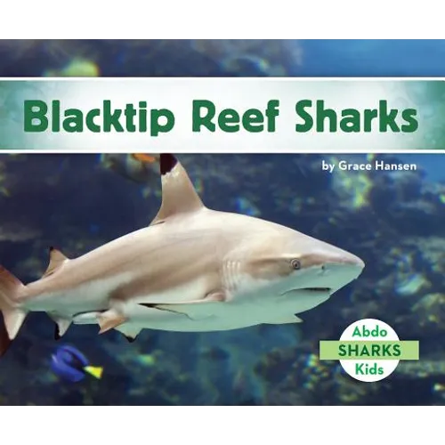 Blacktip Reef Sharks