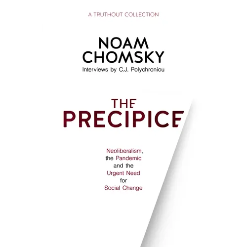 The Precipice: Neoliberalism, the Pandemic and the Urgent Need for Social Change