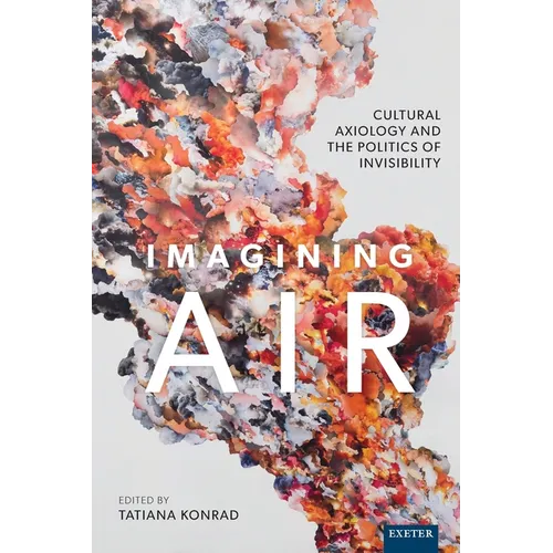 Imagining Air: Cultural Axiology and the Politics of Invisibility