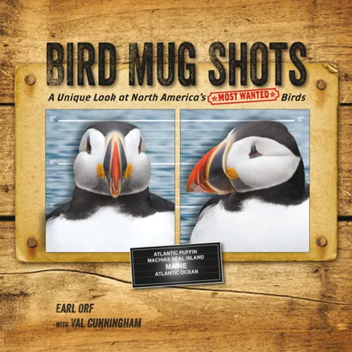 Bird Mug Shots: A Unique Look at North America's Most Wanted Birds