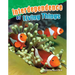 Interdependence of Living Things