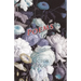 Poems