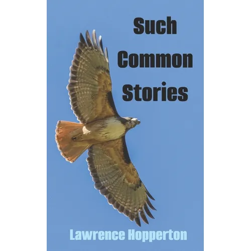 Such Common Stories