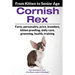 Cornish Rex: From Kitten to Senior Age