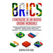Brics: Un'Analisi Approfondita delle Cinque Potenze Emergenti - Brasile, Russia, India, Cina e Sudafrica - e il Loro Impatto sul Futuro Globale