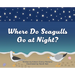Where Do Seagulls Go at Night?