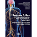 Human Atlas of Topographical and Functional Anatomy: The Nervous System and Analyzers