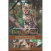 The Comprehensive Owners Handbook to Bengal Cat: A Comprehensive Guide to Raising, Loving, Training and Understanding Your Bengal Cat