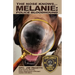 The Nose Knows...Melanie, Police Bloodhound