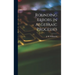 Rounding Errors in Algebraic Processes
