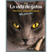 La Vida De Gatos: Un libro ilustrado sobre gatos para niños y niños pequeños, datos interesantes sobre gatos con imágenes lindas y simpáticas para niñ