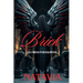 Brick: An Urban Paranormal