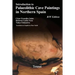 Introduction to Plaeolithic Cave Paintings in Northern Spain
