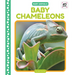 Baby Chameleons