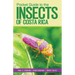 Pocket Guide to the Insects of Costa Rica