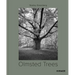 Olmsted Trees: Stanley Greenberg