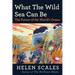 What the Wild Sea Can Be: The Future of the World's Ocean