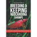 The Ultimate Guide to Breeding & Keeping Neocaridina Shrimps: Secret to Breeding Tons of Shrimps - Complete Handbook for Care, Breeding, and Profit