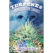 Terpenes: The Magic in Cannabis