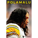 Polamalu: The Inspirational Story of Pittsburgh Steelers Strong Safety Troy Polamalu