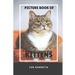 Picture Book Of Kittens For Dementia: A Gift Book for Alzheimer's Patients and Seniors with Dementia, A delightful picture book of 40 adorable kittens