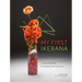 My First Ikebana: Ikebana for the Young and Young at Heart