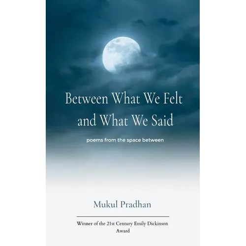Between What We Felt and What We Said poems from the space between