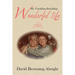 My Tumbling Bumbling Wonderful Life