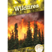 Wildfires