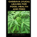 Cassava (Yuca) Leaves for Food, Health and Feed