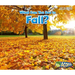 What Can You See in Fall?