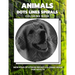 Animals - Dots Lines Spirals Coloring Book: New kind of stress relief coloring book for adults