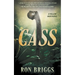 Cass: A Norse Warrior Exploration Series