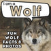 I am a Wolf: A Children's Book with Fun and Educational Animal Facts with Real Photos!