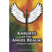 Knights of the Angel Realm: Guarding Carthage