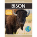 Bison: Fascinating Animal Facts for Kids
